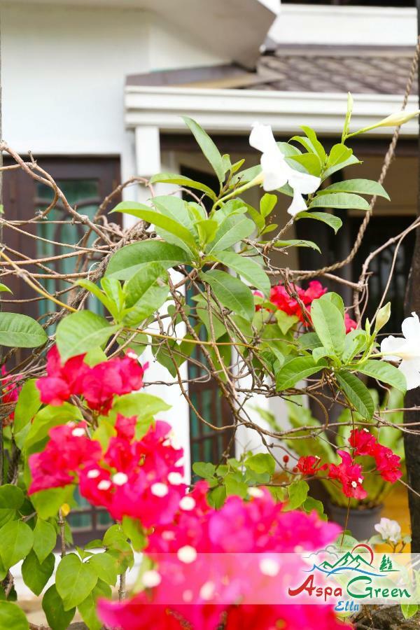 Aspa Green Procida Dış mekan fotoğraf